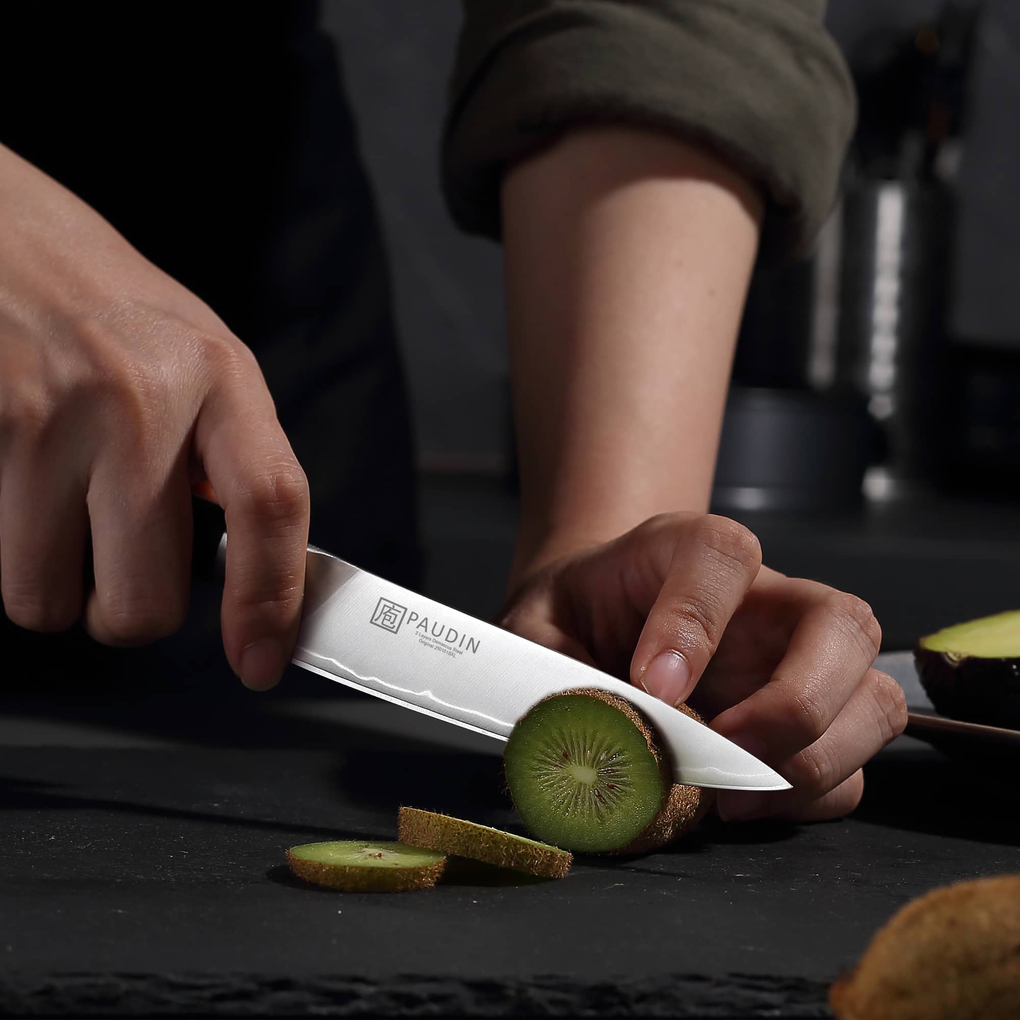 PAUDIN Artemis 4-PC Damascus Knife Set